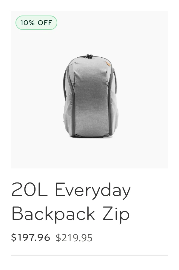 20L Everyday Backpack Zip