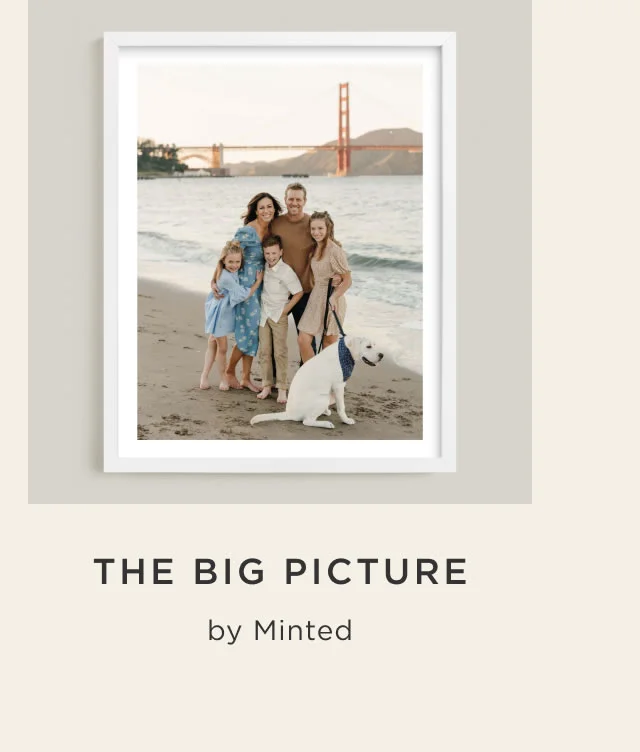 The Big Picture