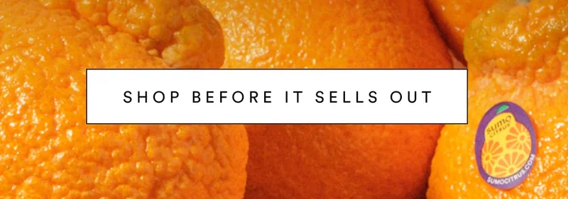 SHOP BEFORE IT SELLS OUT