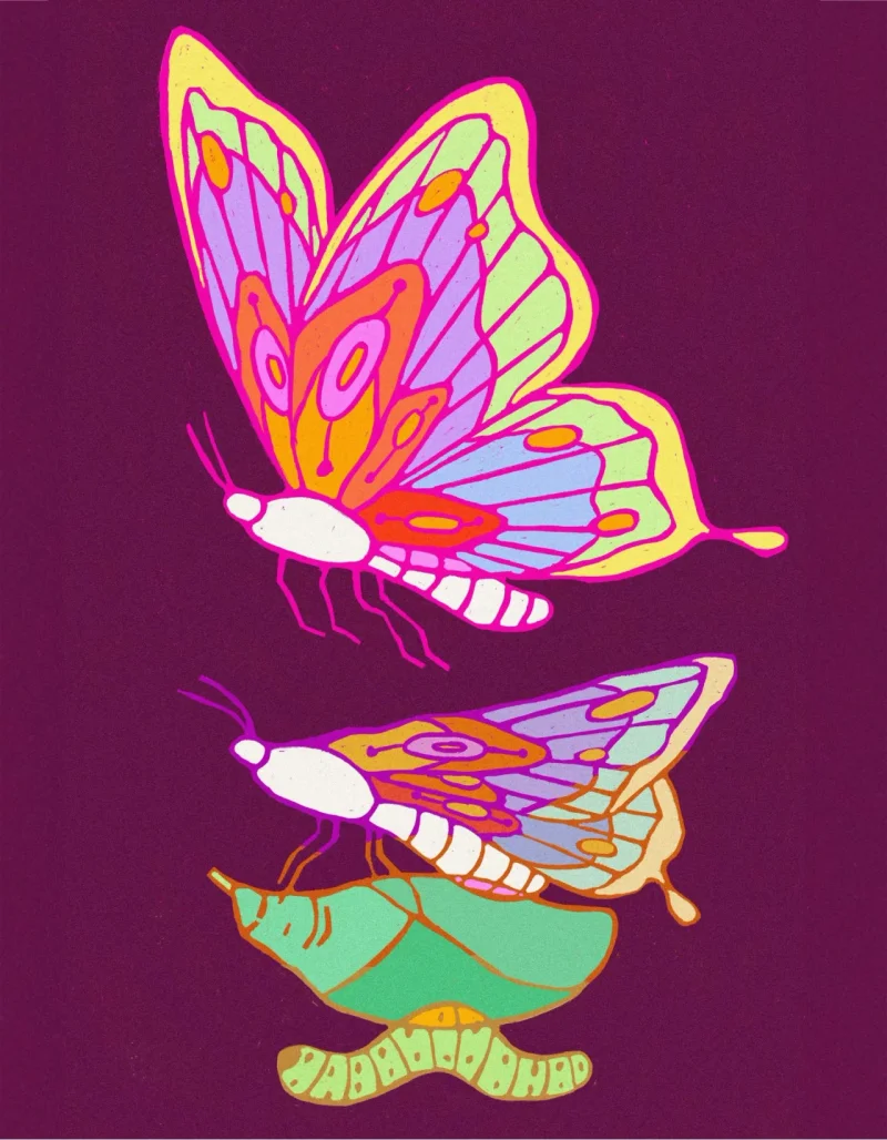 Butterfly.