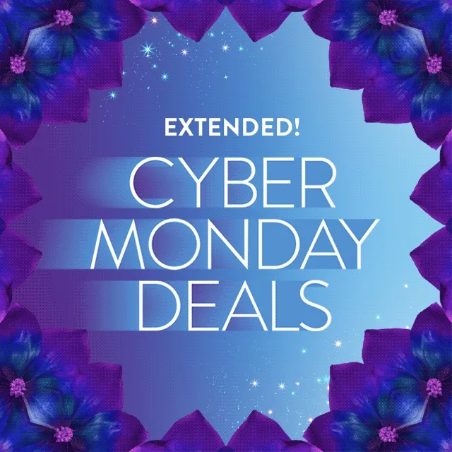 Cyber Monday deals: extended!