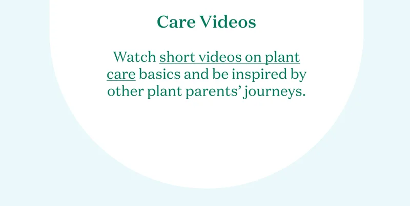 Care Videos: Watch short videos on plant care basics and be inspired by other plant parents' journeys.