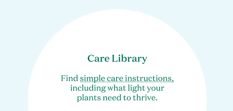Care Library: Find simple care instructions, including what light your plants need to thrive.