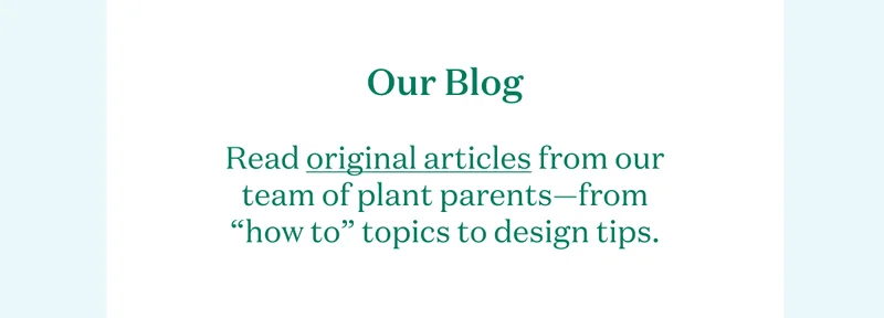 Our Blog: Read original articles from our team of plant parents—from "how to" topics to design tips.