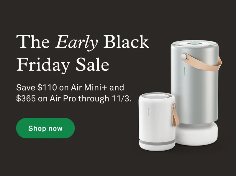 The Early Black Friday Sale is on