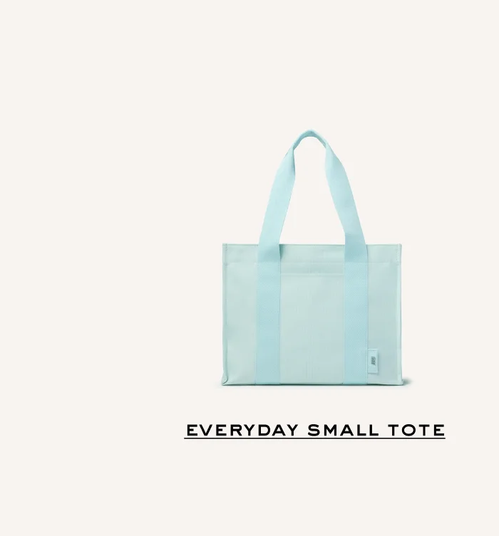 Everyday Small Tote in Light Blue