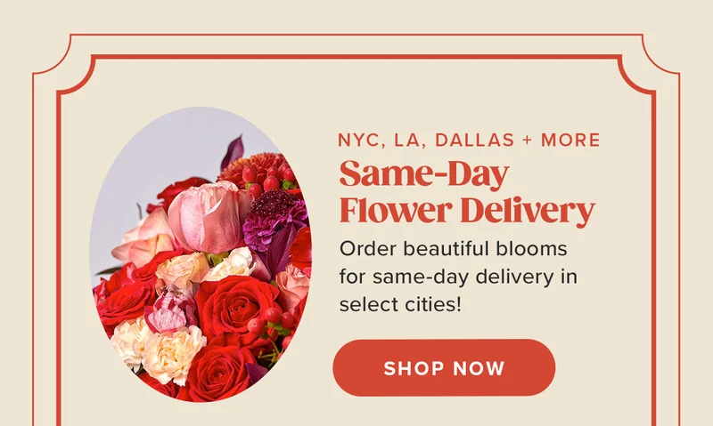 Same-Day Flower Delivery NYC, LA, DALLAS + More! Order beautiful blooms for same-day delivery in select cities! Shop Now