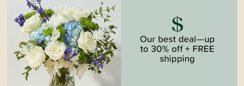 Our best deal -- up to 30% off + FREE shipping