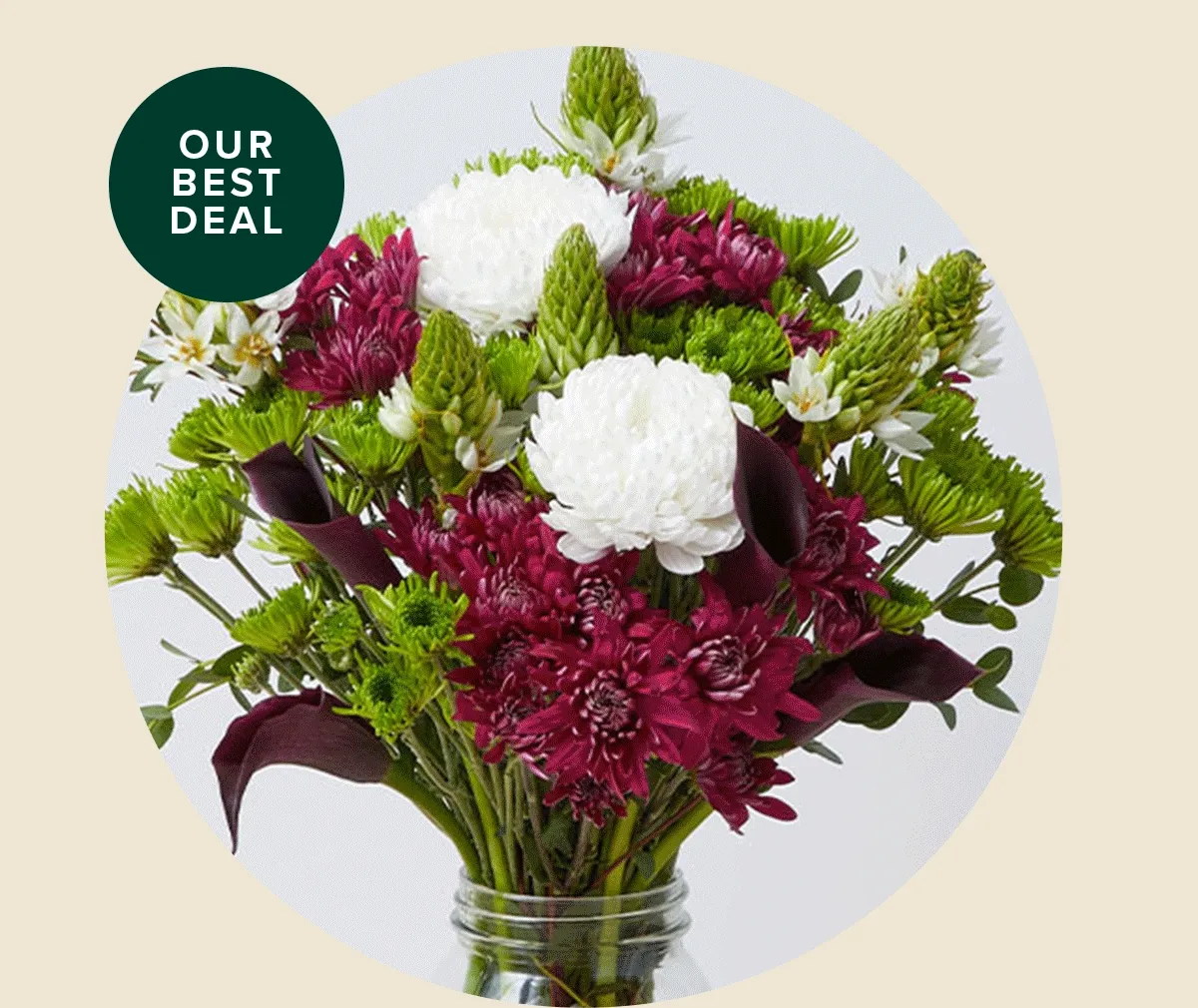 Our Best Deal