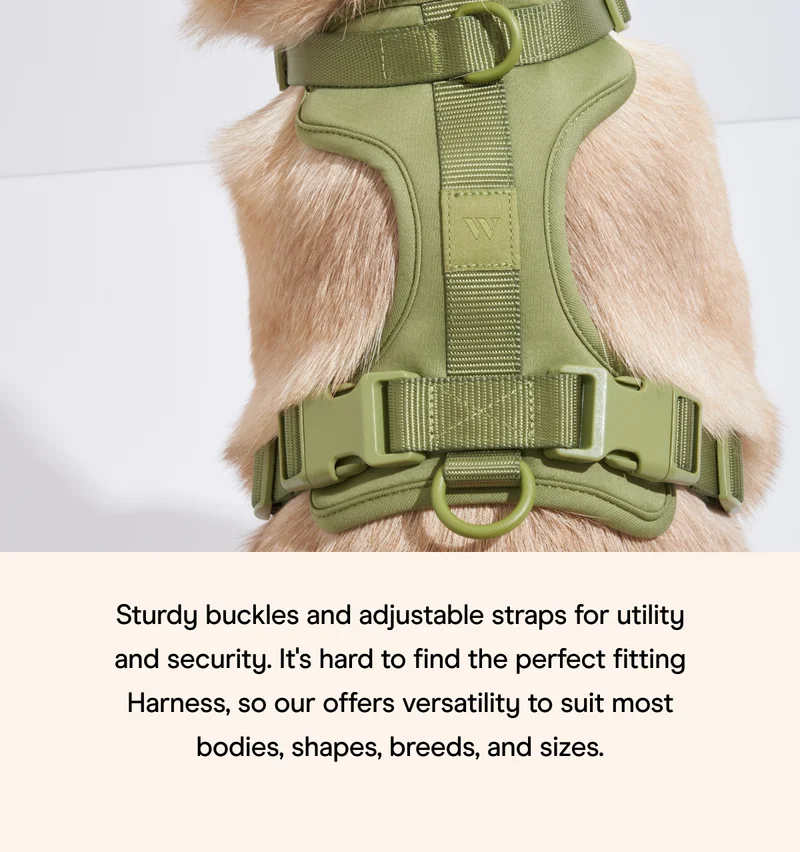 Spruce Harness