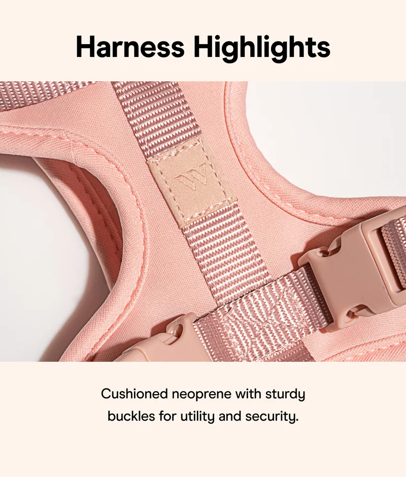 Harness Highlights