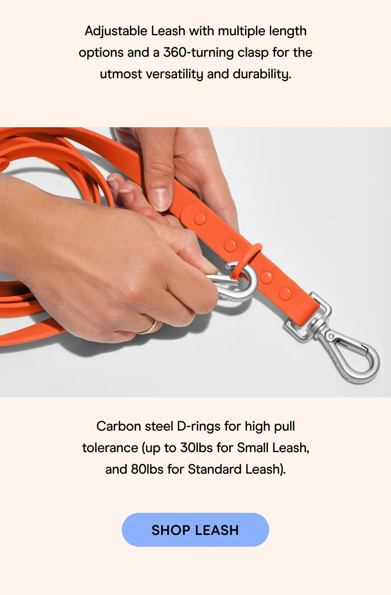 Blaze Leash