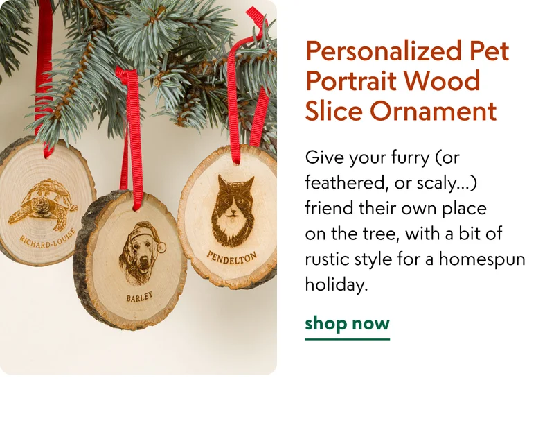 Personalized Pet Portrait Wood Slice Ornament