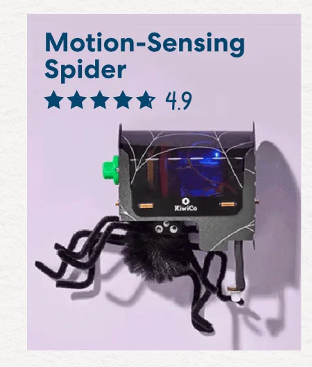 Motion-Sensing Spider