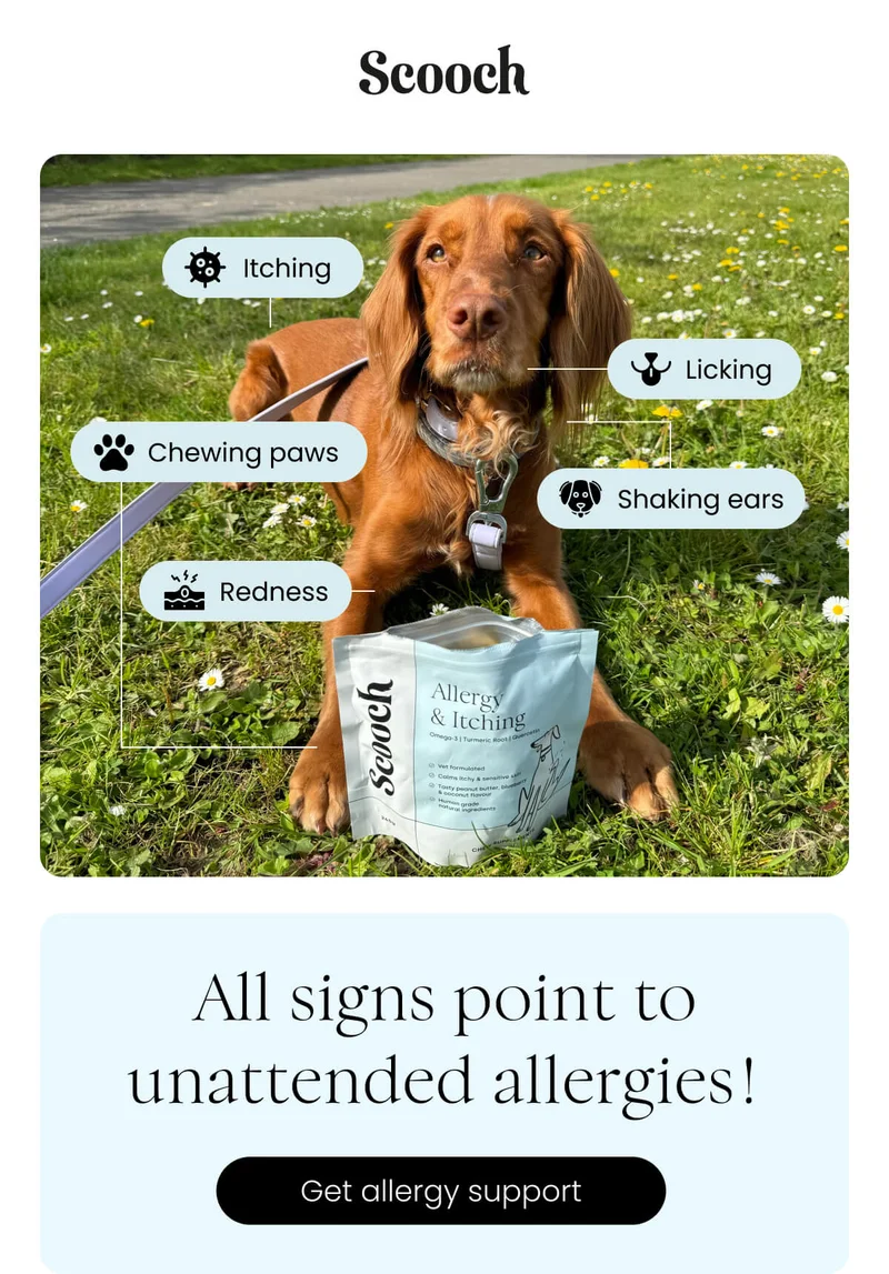 All signs point to unattended allergies! - Get allergy support