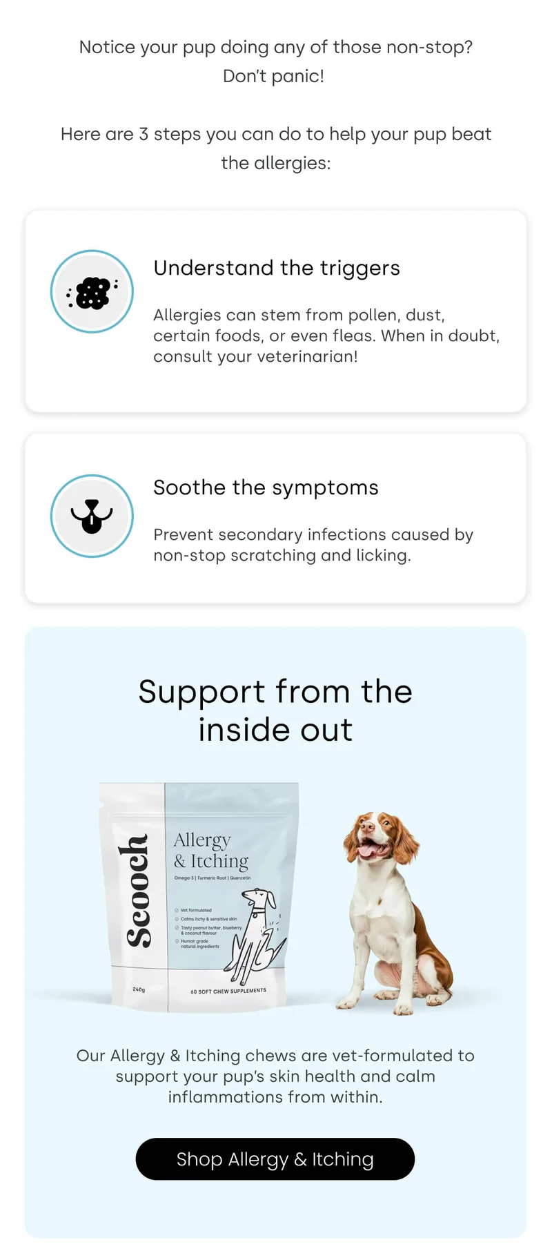 Here are 3 steps you can do to help your pup beat the allergies. Support from the inside out
