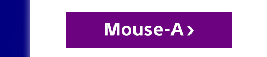 Mouse-A