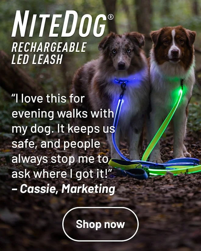 NiteDog® Rechargeable LED Leash