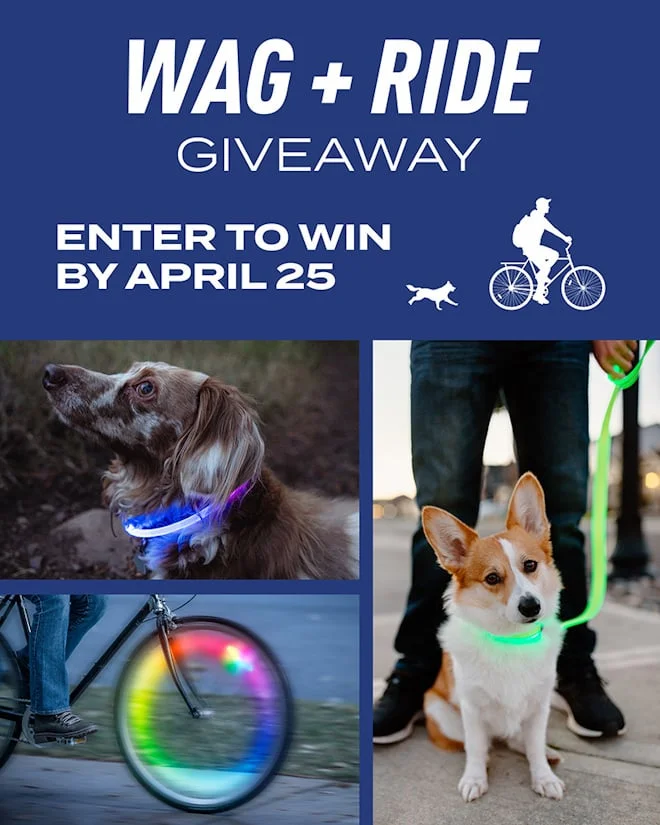 Wag + Ride Giveaway | Enter to win by April 25