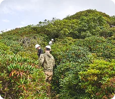 celebrating Public Lands Day