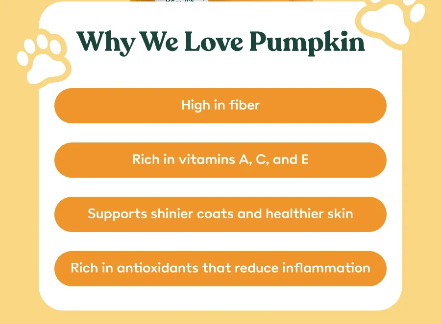 Why We Love Pumpkin
