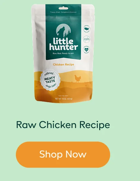 Raw Chicken Recipe
