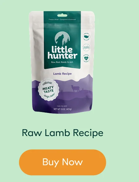 Raw Lamb Recipe