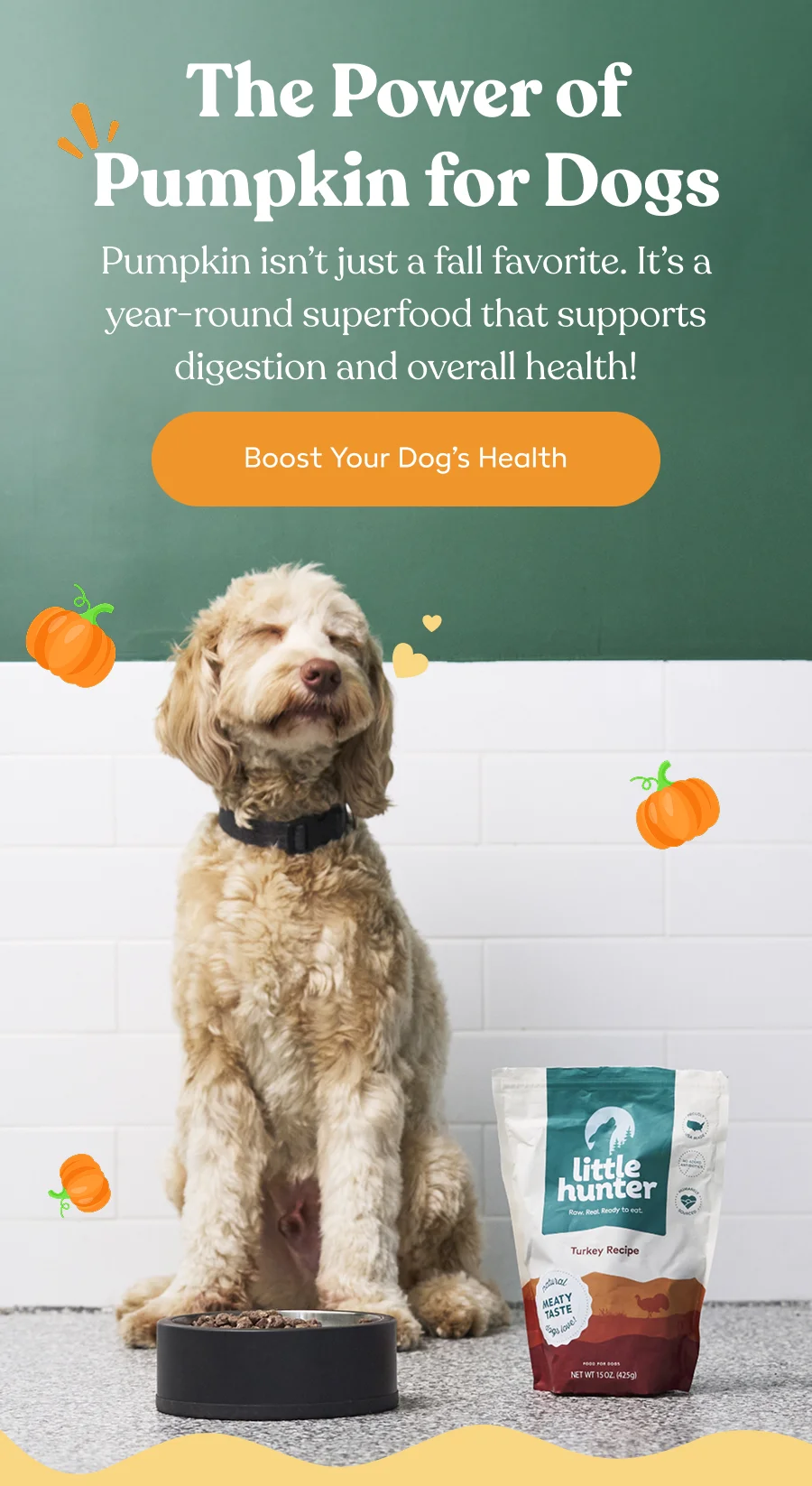 The Power of Pumpkin for Dogs