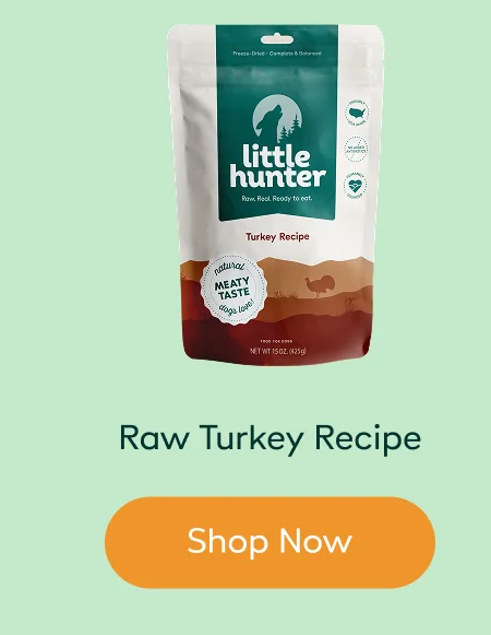 Raw Turkey Recipe