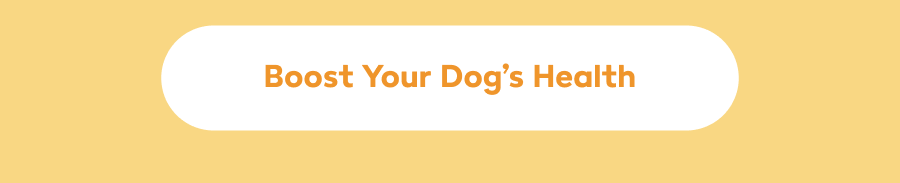 Boost Your Dog’s Health