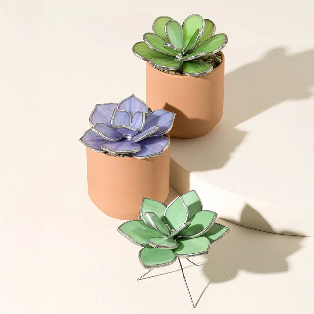 Everlasting Stained Glass Succulents