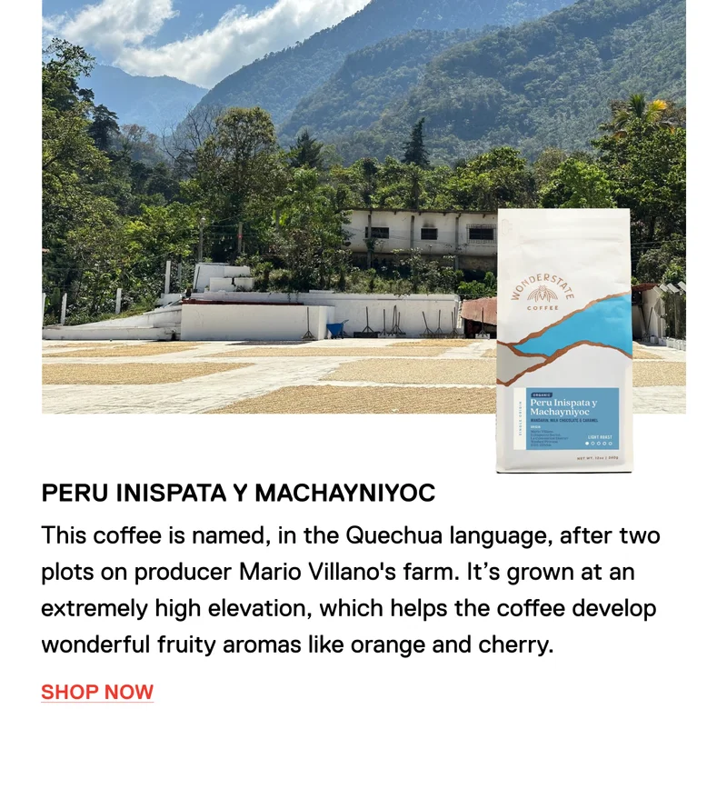 Peru Inispata y Machayniyoc. This coffee is named, in the Quechua language, after two plots on producer Mario Villano's farm. It’s grown at an extremely high elevation, which helps the coffee develop wonderful fruity aromas like orange and cherry. Shop Now