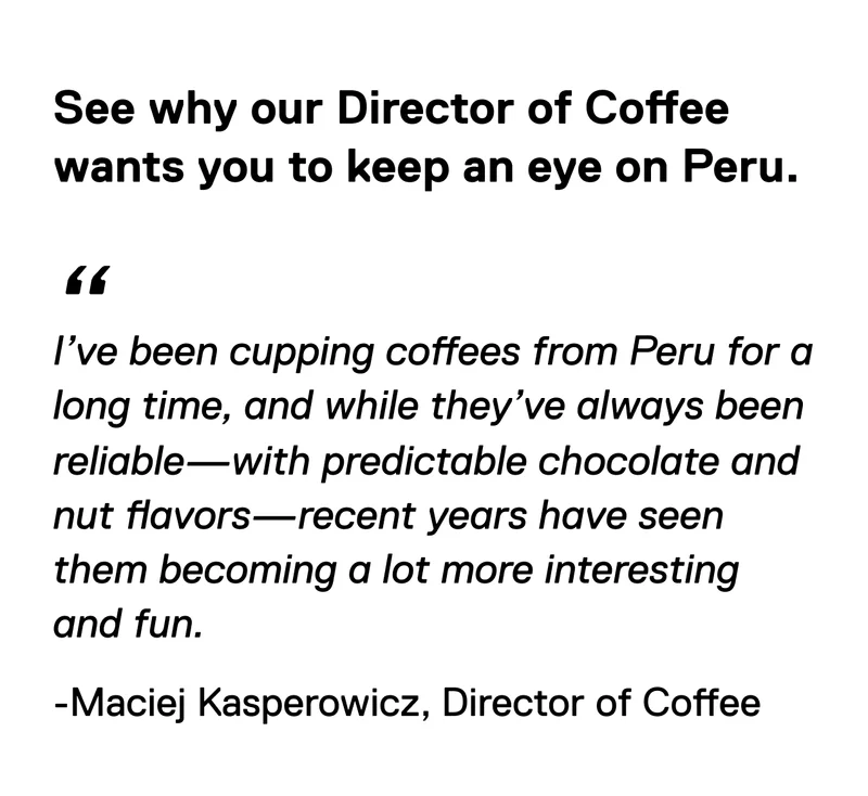 Why our Director of Coffee wants you to keep an eye on Peru. I’ve been cupping coffees from Peru for a long time, and while they’ve always been reliable—with predictable chocolate and nut flavors—recent years have seen them becoming a lot more interesting and fun.-Maciej Kasperowicz, Director of Coffee