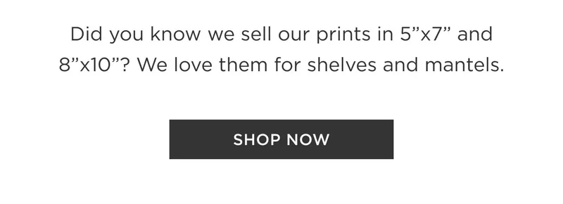 Shop Now