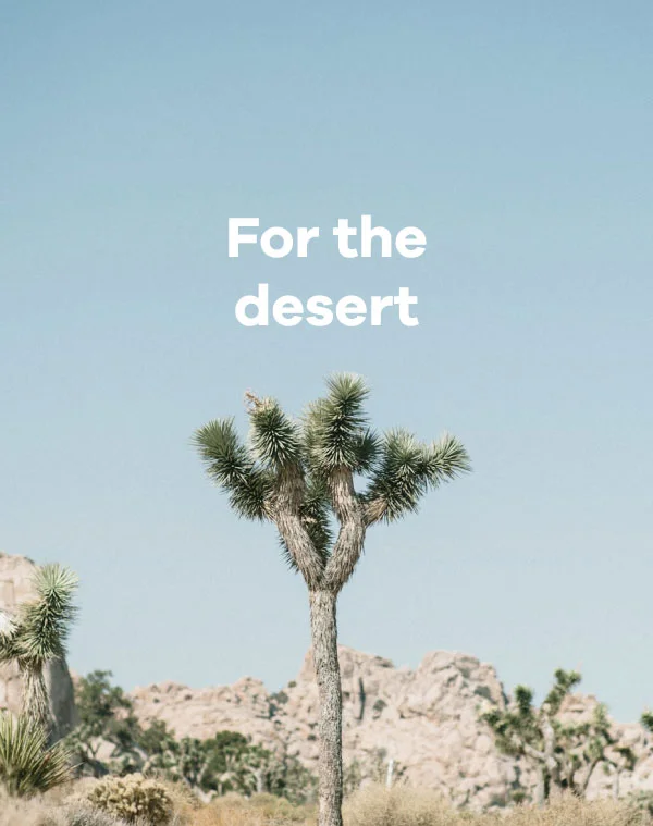For the desert