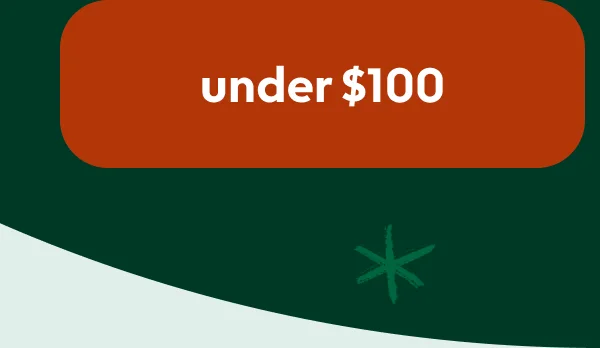 christmas-gifts-under-100