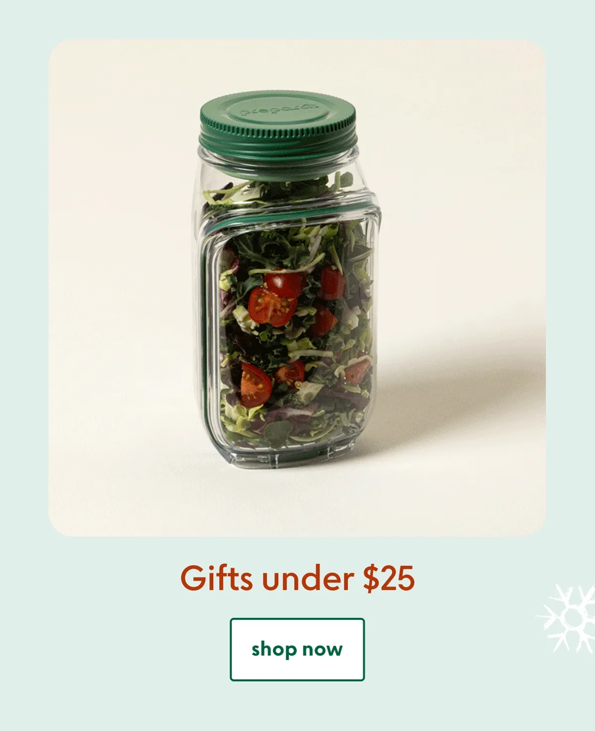 christmas-gifts-under-25
