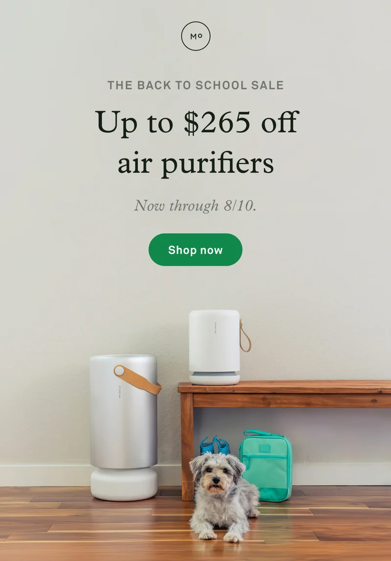 The Back to School Sale: Up to $265 off air purifiers