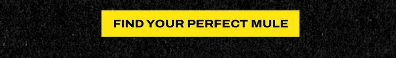Find your perfect mule