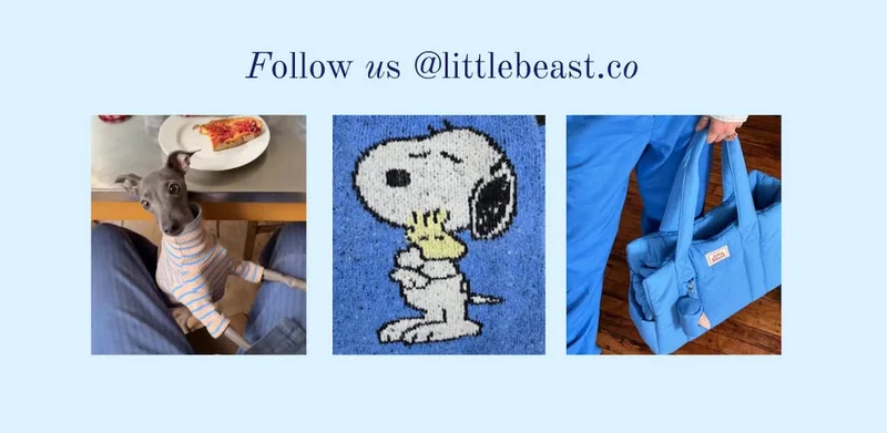Follow us on Instagram