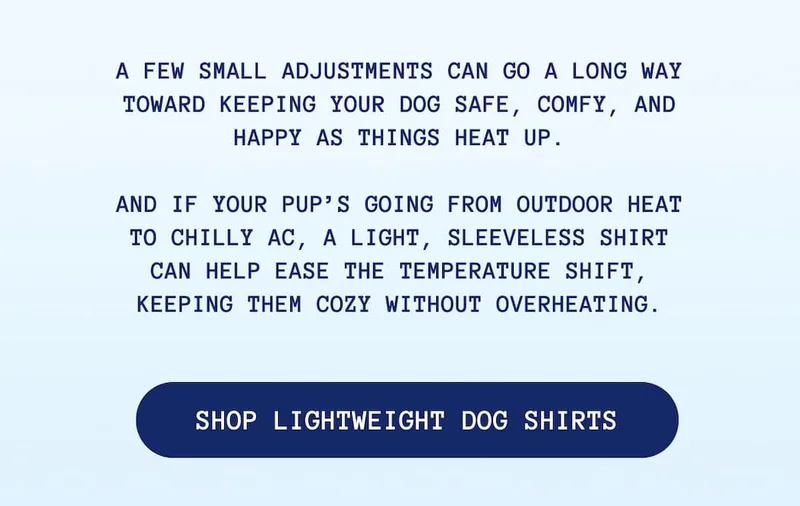 Shop Lightweight Dog Shirts