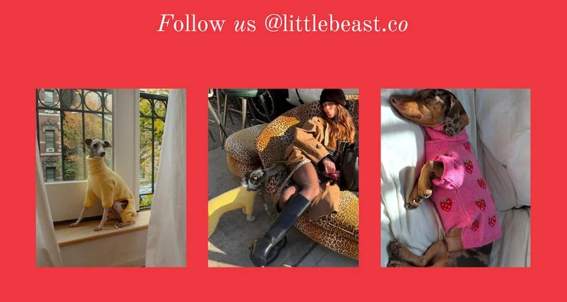 Follow us @littlebeast.co