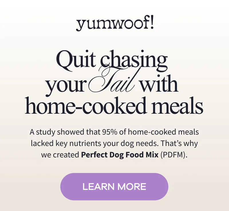 yumwoof! | Quit chasing  your Tail with  home-cooked meals A study showed that 95% of home-cooked meals | lacked key nutrients your dog needs. That’s why we created Perfect Dog Food Mix (PDFM). | LEARN MORE