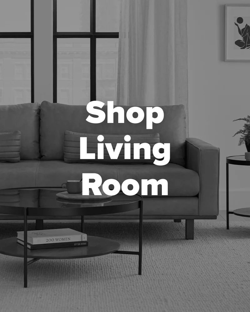 Shop Living Room