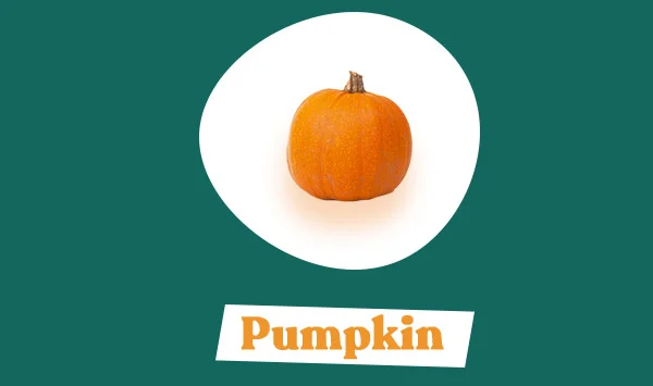 Pumpkin
