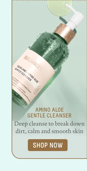 AMINO ALOE GENTLE CLEANSER