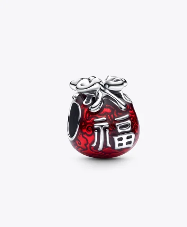 Lucky Bag Charm