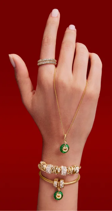 Pandora Year of the Snake bracelets and charms