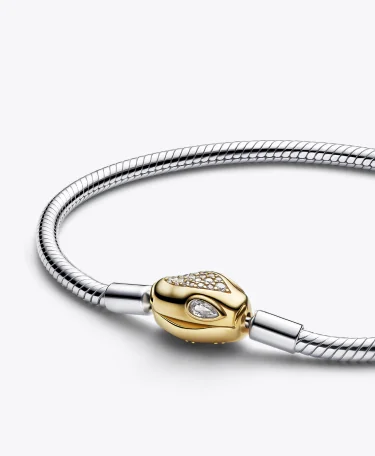 Snake Clasp & Chain Bracelet