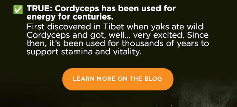 LEARN MORE ON THE BLOG
